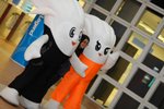 IMG_014209