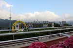 IMG_6690