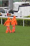 IMG_8964