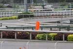 IMG_8968