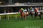 IMG1_016291
