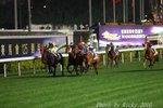 IMG1_016329