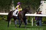 IMG1_016340