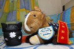 2009_06_22_IMG_002437