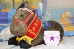 靚蝦王~
&#12501;&#12455;&#12450;&#12522;&#12540;&#12461;&#12531;&#12464;&#12503;&#12525;&#12540;&#12531;※香港限定~
2000年第５０回安田記念

IMG_8776