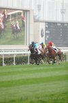 IMG1_016715