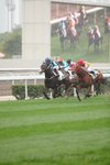 IMG1_016716