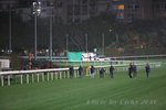 IMG1_016900