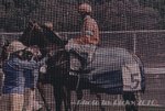 IMG1_017248
