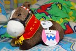 東海帝王~トウカイテイオー  第５８回 日本ダービー