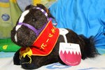 特別週~スペシャルウィーク IMG_0085