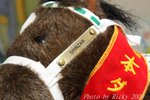 IMG_008603
