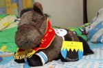 夏威夷王~キングカメハメハ  第７1回日本ダービー