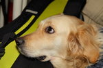 IMG1_018147
