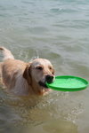 IMG1_037400