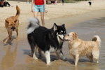 IMG1_037406