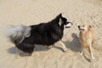 IMG1_037419