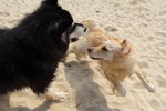 IMG1_037423