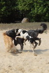 IMG1_037436