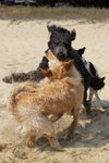 IMG1_037438