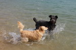 IMG1_037441
