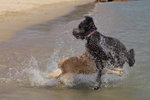 IMG1_037455