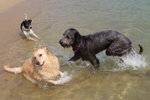 IMG1_037456