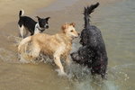IMG1_037458