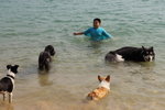 IMG1_037460
