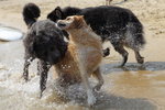 IMG1_037473