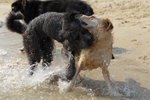 IMG1_037474