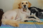 IMG1_040855