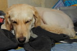 IMG1_040868