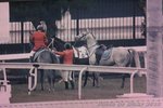 IMG1_018210