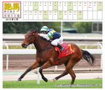 「蓮華生輝」以輕鬆姿態勝出香港一級賽主席短途獎，下仗將在香港短途第三關及日本一級賽高松宮二擇其一。
photo by Ricky Cheung (Canon 5D Mark II + 300mm f/2.8L, 1/500 f/4 ISO1000)
20100228_poster_1000p