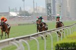 IMG1_018618