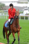 IMG1_018632