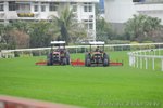 IMG1_018766