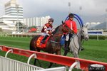 IMG1_019056
