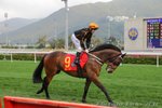 IMG1_019069