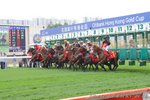 IMG1_019083