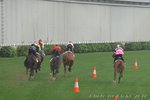 IMG1_020982