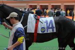 IMG1_021160