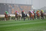 IMG1_021405