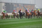 IMG1_021406