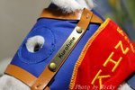 IMG_005865