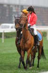 IMG1_021880