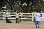 IMG1_022236