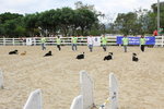 IMG1_022238