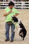 IMG1_022245